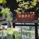 绍兴旅游 缩略图 14
