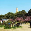 绍兴旅游 缩略图 2