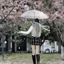 郑州旅游 缩略图 1