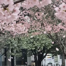 郑州旅游 缩略图 2
