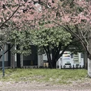 郑州旅游 缩略图 3