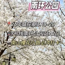 郑州旅游 缩略图 4