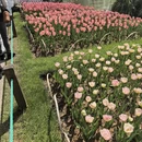 绍兴旅游 缩略图 5