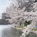 合肥旅游 缩略图 9