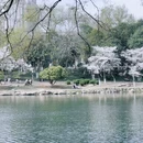 合肥旅游 缩略图 5