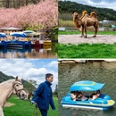 绍兴旅游 缩略图 6