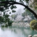 合肥旅游 缩略图 6