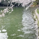 合肥旅游 缩略图 7