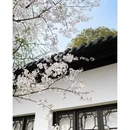 合肥旅游 缩略图 4