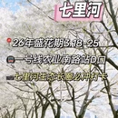 郑州旅游 缩略图 5