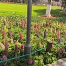 绍兴旅游 缩略图 6