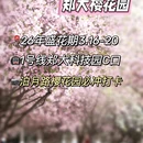 郑州旅游 缩略图 6