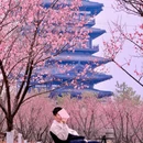 郑州旅游 缩略图 4