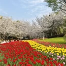 绍兴旅游 缩略图 5