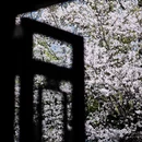 绍兴旅游 缩略图 4