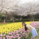 绍兴旅游 缩略图 7