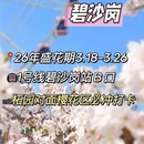 郑州旅游 缩略图 7