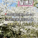郑州旅游 缩略图 8