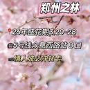 郑州旅游 缩略图 9