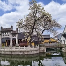 绍兴旅游 缩略图 5