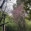 郑州旅游 缩略图 9