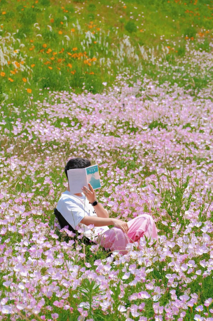 郑州旅游