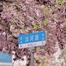 郑州旅游 缩略图 2