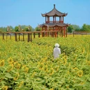 郑州旅游 缩略图 7