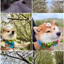 绍兴旅游 缩略图 1