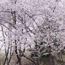 合肥旅游 缩略图 5