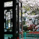 绍兴旅游 缩略图 7