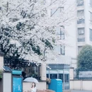 绍兴旅游 缩略图 3