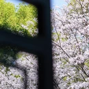 绍兴旅游 缩略图 10