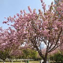合肥旅游 缩略图 1