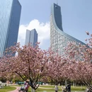 合肥旅游 缩略图 7