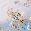 合肥旅游 缩略图 5
