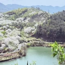 绍兴旅游 缩略图 3