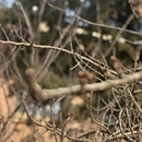 合肥旅游 缩略图 9