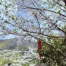 绍兴旅游 缩略图 4