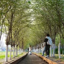 合肥旅游 缩略图 4