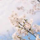 合肥旅游 缩略图 2