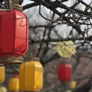 合肥旅游 缩略图 7