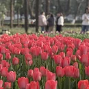 合肥旅游 缩略图 2