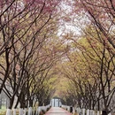 合肥旅游 缩略图 2