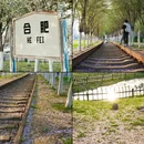 合肥旅游 缩略图 1