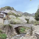 绍兴旅游 缩略图 5