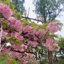 合肥旅游 缩略图 2
