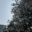 合肥旅游 缩略图 14