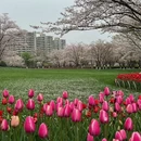 绍兴旅游 缩略图 2