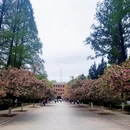 合肥旅游 缩略图 3